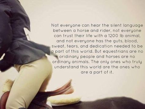 Equestrian Equine Quotes, Inspirational Horse Quotes, Horse Riding Quotes, Equestrian Quotes, Cowgirl Quotes, Riding Quotes, All About Horses, Horses And Dogs, Horse Quotes