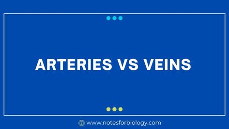 Arteries vs Veins: 27 Major Differences The Circulatory System, Biology Science, Circulatory System, Biology, Science