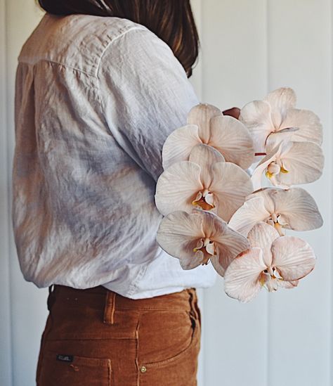 Peach phalaenopsis orchid Peach Phalaenopsis Orchid, Peach Orchid, Orchid Bridal Bouquets, Phalaenopsis Orchid, Wedding Florals, Light Orange, Bridal Bouquet, Orchids, A Wedding