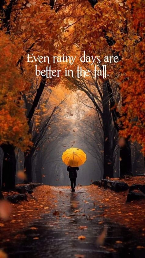 Fall Time Quotes, Rainy Day Quotes, Fall Humor, I Love Rain, Autumn Rain, Good Morning Beautiful Images, Autumn Magic, Love Rain, Autumn Morning