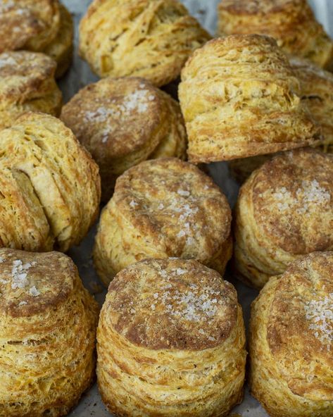 Cheryl Day’s Sweet Potato Biscuits — Cherry Bombe Back In The Day Bakery, Chocolate Cheesecake Brownies, Potato Biscuits, Sweet Potato Biscuits, Easy Peasy Recipes, Apple Slaw, Berry Tart, Buttermilk Biscuits, Pastry Blender