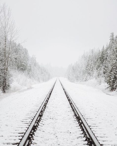 Silver Blonde, Over The Garden Wall, Winter Love, Snow Scenes, Train Tracks, Winter Aesthetic, Winter Photography, The Train, Winter Day