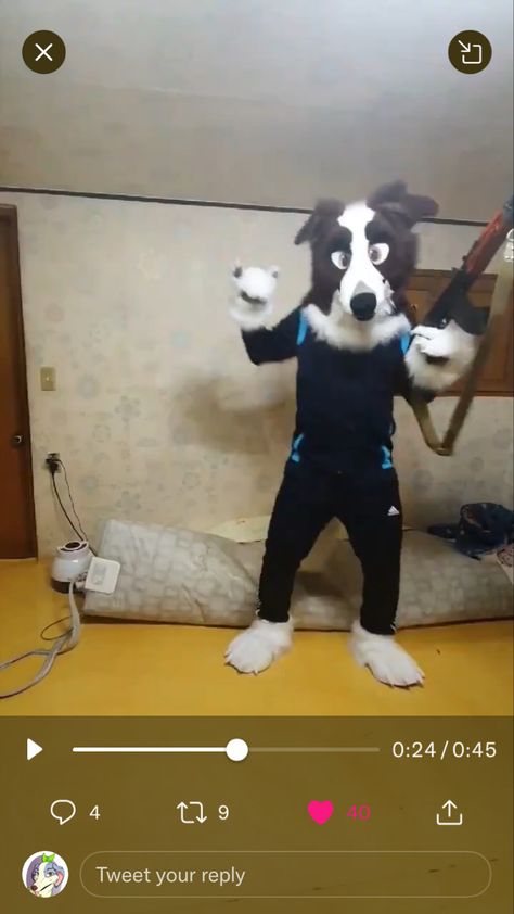 Borzoi Fursuit, Anime