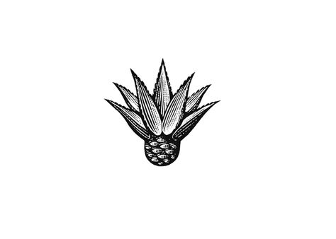 Agave Icon Agave Tattoo, Ghost Lifestyle, Maps Architecture, Mexico Tattoo, Logo Design Inspiration Creative, Plant Tattoo, Agave Plant, Blue Agave, Tattoo Project