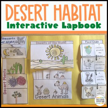 Desert Habitat Project, Desert Habitat Projects For Kids, Animals Habitat, Desert Habitat, Interactive Lapbooks, Habitat Activities, Kids Deserts, Ecosystems Projects, Desert Biome