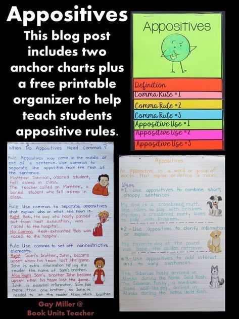 This blog post includes two anchor charts plus a free printable organizer to help teach students appositive rules. When To Use Commas, Printable Organizer, Ela Teacher, 4th Grade Classroom, Teaching Grammar, Middle School English, Mini Lessons, Creative Teaching, Teaching Classroom