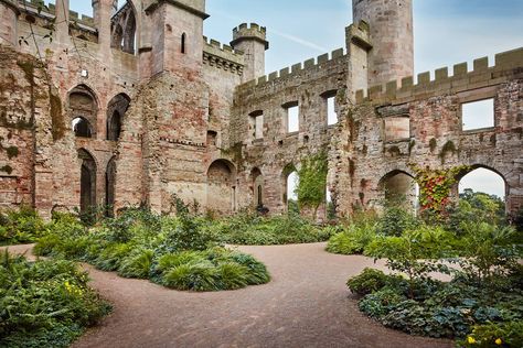 Inside the ruin Vitis Coignetiae, Stone Ruins, Tuscan Walls, Ruins Architecture, Dan Pearson, Simple Garden, English Castles, Famous Houses, Castle Garden