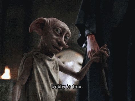 When your parents still try to tell you that you can’t do something: | Community Post: 12 "Harry Potter" Reaction GIFs For Every Situation Free Dobby, Dobby Harry Potter, Potter Facts, Harry Potter Gif, Harry Potter Facts, Harry Potter Film, Harry Potter Love, Harry Potter Quotes, Harry Potter Obsession