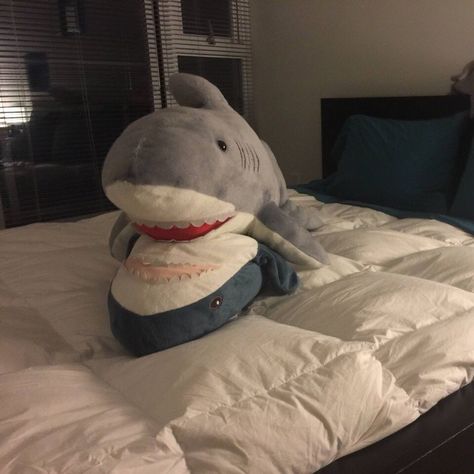 Stuffed Shark, Shark Pictures, Shark Plush, Sharks Funny, Cute Shark, Fandom Funny, Cute Stuffed Animals, Sea Animals, Blue Aesthetic