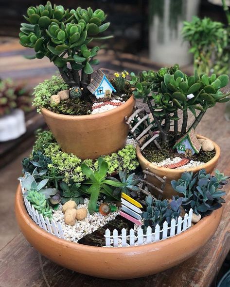 Mini jardim: 30 ideias e tutoriais para montar paisagens em miniatura Fairy Garden Design Ideas, Kaktus Dan Sukulen, Fairy Garden Pots, Fairytale Garden, Indoor Fairy Gardens, Succulent Garden Design, نباتات منزلية, Fairy Garden Designs, Fairy Garden Crafts