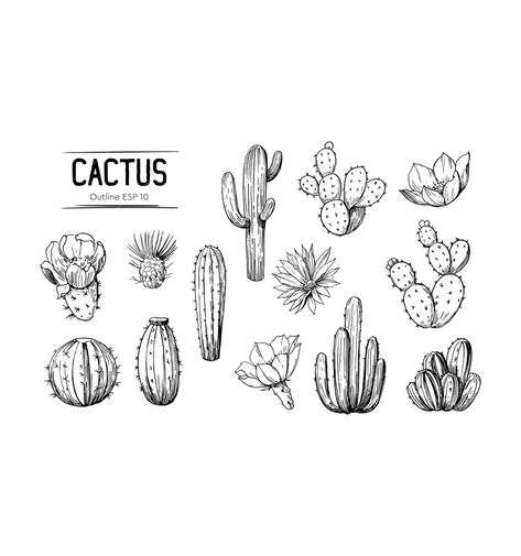 Fine Line Cactus Tattoo Small, Realistic Cactus Tattoo, Nopales Tattoo, Fine Line Cactus Tattoo, Cute Cactus Tattoo, Cactus Flower Drawing, Cricut Cactus, Cactus Tattoo Small, Tattoo Cactus