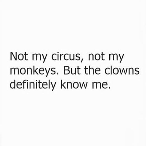 Clown Quotes, Not My Circus, Joke Quote, Funny Joke Quote, Funny Sayings, Jokes Quotes, Quotes Funny, Pretty Quotes, Monkeys