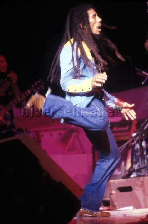 Robert Nesta, Bob Marley, Concert, Music