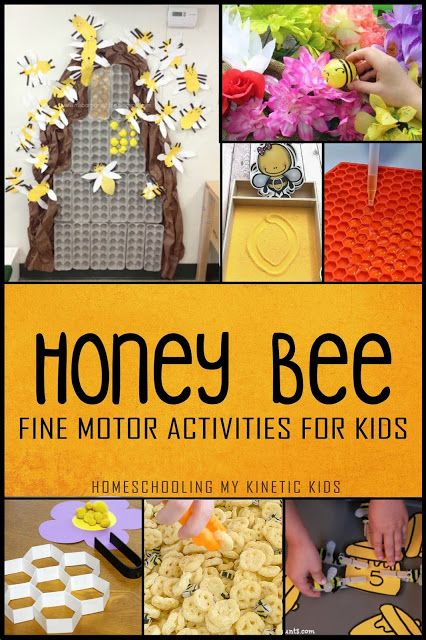 Quiet activities to learn about honey bees while listening to "The Complete Adventures of Winnie the Pooh" being read aloud. Pretend play and games to enjoy as part of a beekeeping theme unit. Preschool, elementary students, homeschool, daycare, and more. Bee Kids Crafts, Bee Science Activities For Kindergarten, Bee Investigation Kindergarten, Bee Curriculum Preschool, Reggio Bee Activities, Bee Inquiry Kindergarten, Preschool Units Themes, Pollination Activity, Bee Activities