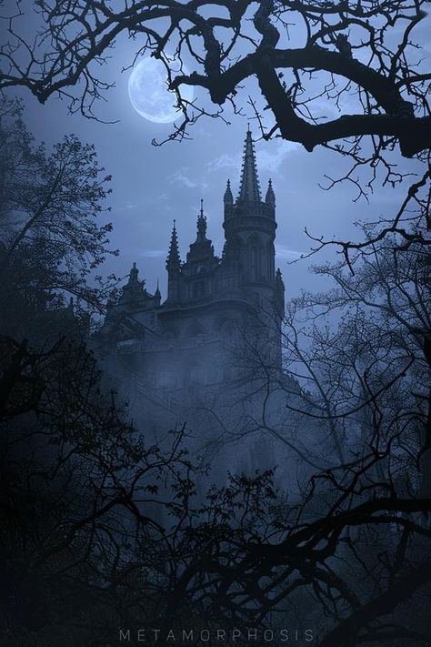 Dark Fairytale Aesthetic, Goth Castle, Goth Architecture, Vampire Castle, Fairytale Aesthetic, Dark Castle, Dark Fairytale, Facial Recognition Technology, Gothic Castle