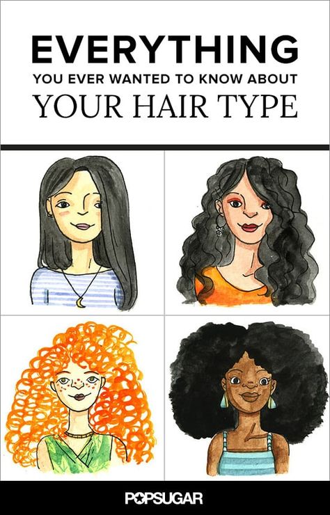 Everything You Ever Wanted to Know About Your Hair Type 1c Hair, 2a Hair, Tousled Hair, Curly Hair Photos, Curly Hair Types, Type 4 Hair, Types Of Hair, Hairstyle Inspiration, Popsugar Beauty