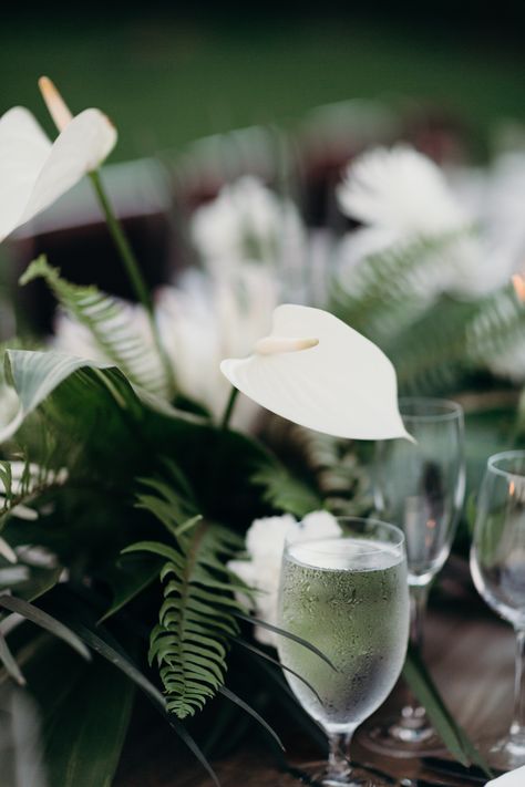 White Anthurium, Tropical Wedding Reception, The Parker Palm Springs, Miami Beach Wedding, Tropical Destination Wedding, Parker Palm Springs, Anthurium Flower, Destination Wedding Inspiration, Tropical Destinations