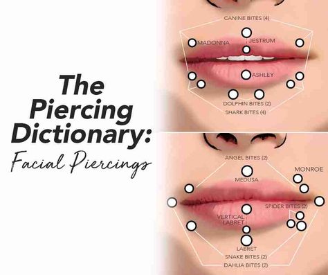 The Piercing Dictionary: Facial & Lip Piercings – BodyCandy How To Pierce Your Lip At Home, Chin Piercing Women, Female Facial Piercings, Rings Aesthetic Wedding, Facial Piercings Aesthetic, Lip Frenulum Piercing, Ringe Aesthetic, Piercing Inspo Face, Rings Aesthetic Silver