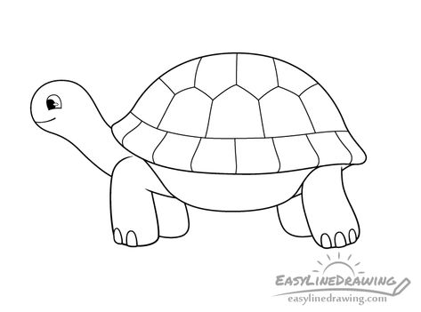 How To Draw A Tortoise, Tortoise Drawing Easy, Tortoise Outline, Draw Tortoise, Turtle Drawing Simple, Turtle Drawing Easy, Cartoon Tortoise, Happy Drawings, Tortoise Drawing