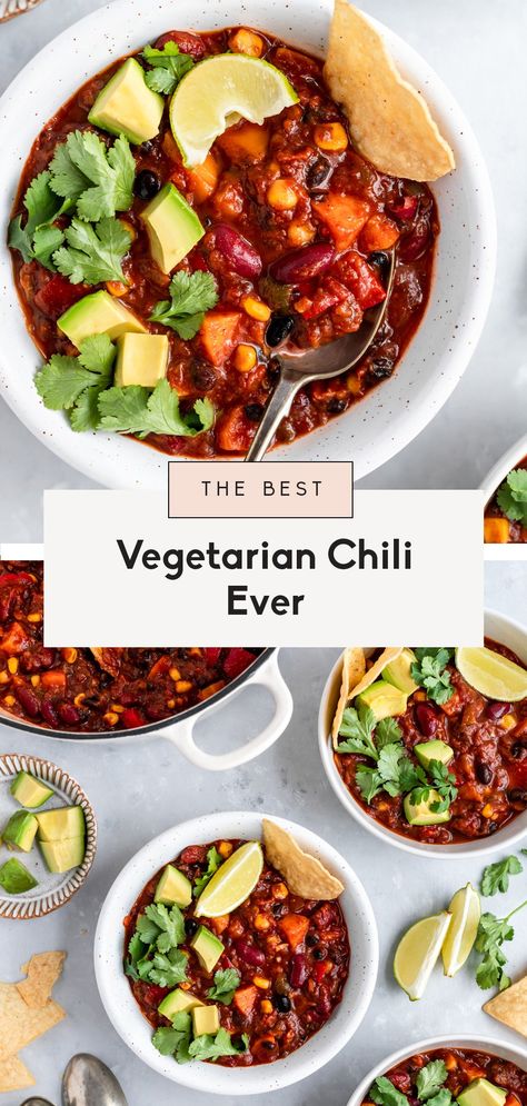 Best Vegetarian Chili Recipe, Best Vegetarian Chili, Easy Vegetarian Chili Recipe, Plant Meals, Vegetarian Chili Easy, Vegetarian Chili Recipe, Veggie Chili, Kinds Of Beans, Ambitious Kitchen