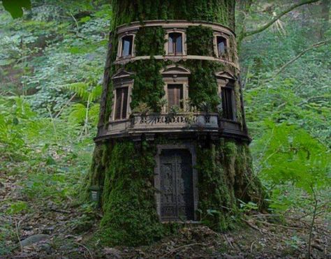 Perfect Forest retreat!!! Reminds me of "Hollow Tree house" by Enid Blyton... perfect to escape the evil witch... or is there a worst fate in store? Beautiful Tree Houses, Casa Hobbit, Rustic Landscaping, Cool Tree Houses, Old Tree, Fairy Houses, Fairy House, Lake District, Beautiful Tree