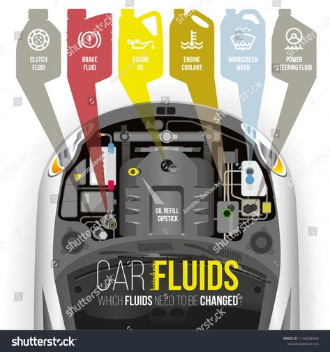 Which fluids need to be changed under the hood of the car? #Ad , #Sponsored, #changed#fluids#car#hood Serenity Aesthetic, Learning To Drive Tips, Jetta Vr6, Driving Test Tips, Learn Car Driving, Driving Basics, Most Luxurious Car, Rolls Royce Car, Motor Mechanics