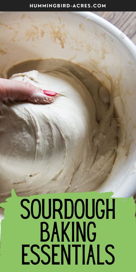 Curious about what you really need for sourdough baking? This list of essentials covers everything, from starter jars to bannetons! Baking Essentials Tools, Healthy Starters, Recipe Using Sourdough Starter, Sourdough Bread Starter, Chocolate Chip Pecan Cookies, Enamel Dutch Oven, Proofing Baskets, Pizza Flavors, Baking Stone