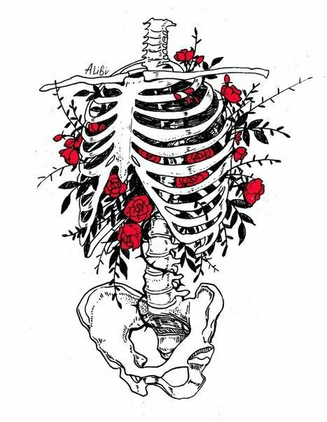 Skeleton Drawings, Skeleton Art, Medical Art, A Skeleton, Tattoo Design Drawings, Anatomy Art, Cool Art Drawings, Skull Art, A Drawing