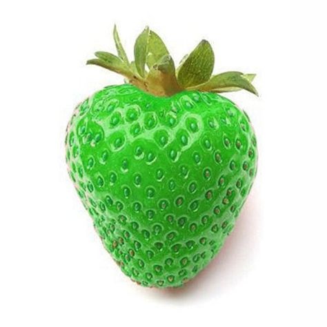 500Pcs Green Strawberry Seeds Garden Fruit Seeds Heirloom Super Strawberry Garden Seeds Strawberry Seeds, Strawberry Garden, Green Strawberry, Fruit Seeds, Garden Seeds, Seeds, Fruit, Green