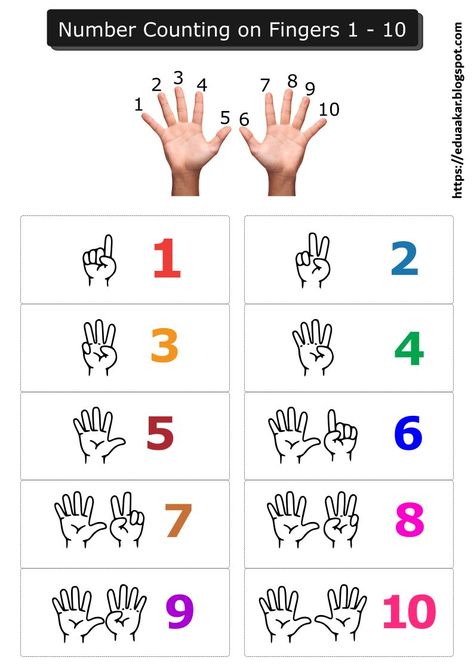 Numbers To 10 Activities, Numbers With Fingers, Counting With Fingers, Brojevi Do 10, Learn Numbers 1-10, 1to10 Number, 1 10 Number Activities, 1 To 10 Numbers Activities, Counting 1 To 10