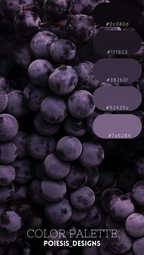 Color Palette For Purple, Purple Gray Palette, Purple Aesthetic Color Palettes, Color Palette Gothic, Blackberry Color Palette, Colors That Go With Silver, Dark Romance Color Palette, Purple Pallet Color, Warm Purple Color Palette