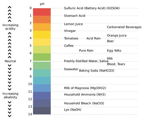 pH chart Ph Chart, Ph Water, Nitrogen Cycle, Gastric Juice, Acid Base, Ph Meter, Ph Levels, Alkaline Diet, Stomach Acid