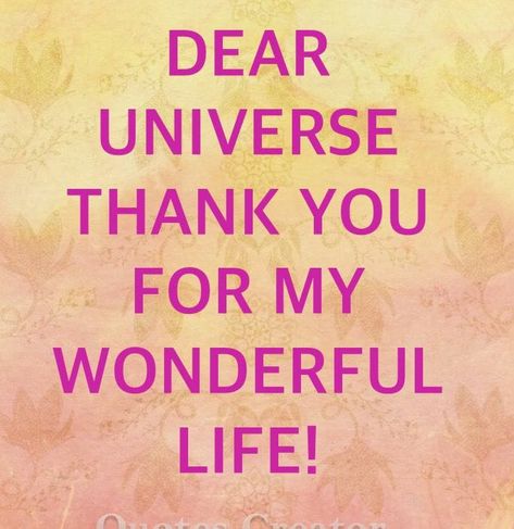 Dear Universe, Gratitude Affirmations, Attraction Quotes, Life Quotes Love, Wonderful Life, Law Of Attraction Quotes, Self Love Affirmations, Gratitude Quotes, Positive Self Affirmations