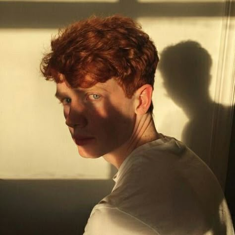 hufflepuff aesthetic aesthetic Ginger Hair Men, Red Freckles, Red Hair Boy, Red Hair Men, Hufflepuff Aesthetic, Red Curls, Ginger Boy, Short Red Hair, Natural Red Hair