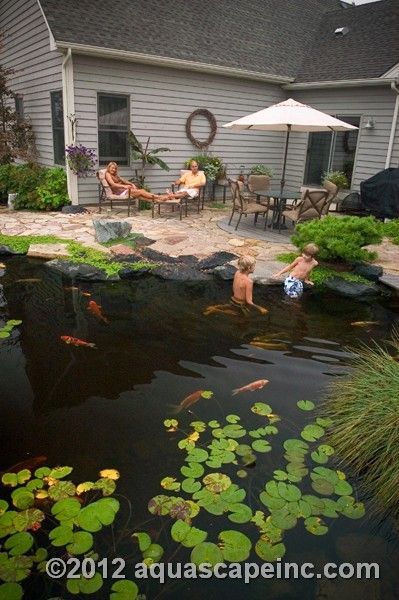 Swimming Pool Pond, Kolam Air, Taman Air, Goldfish Pond, Natural Swimming Ponds, Backyard Pond, Outdoor Ponds, Pond Waterfall, Pond Water Features