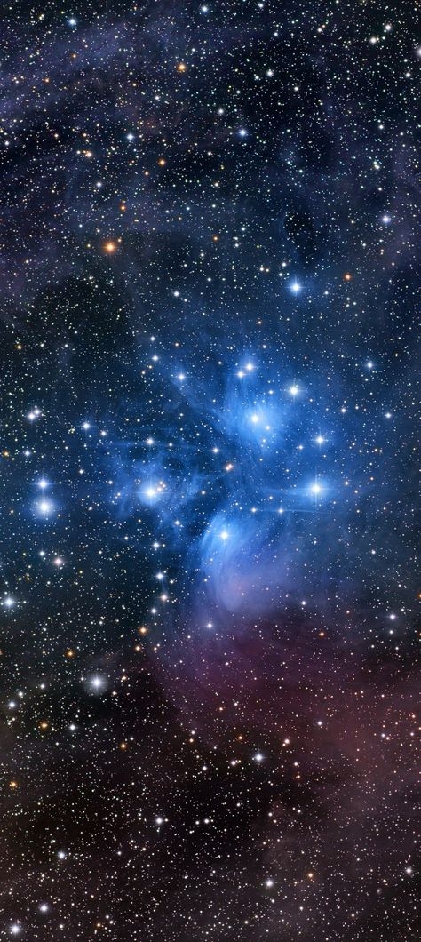 The Pleiades Star Cluster, The Pleiades, The Human Brain, Space Universe, Star Cluster, Apple Pies, Old Images, Carl Sagan, It Goes On