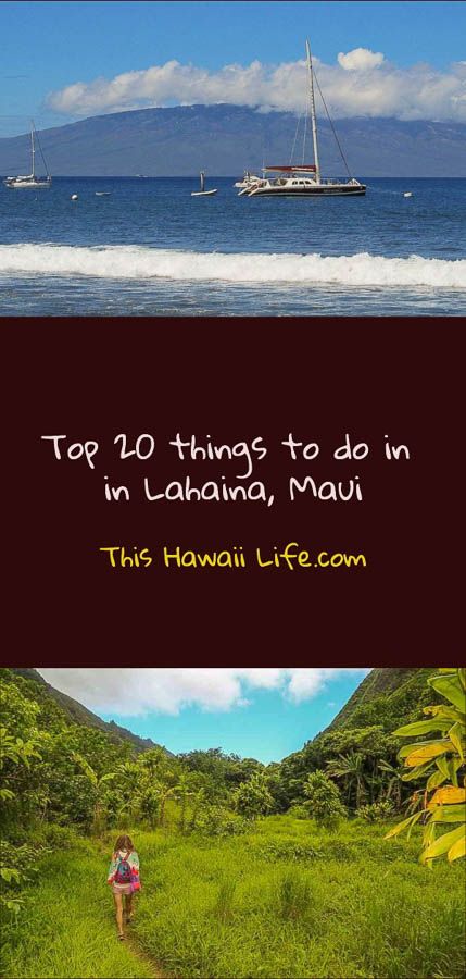 Top 20 things to do in Lahaina Maui - This Hawaii Life - Maui attractions, popular adventure and outdoor experiences, historic sites. Visit all of the best Maui attractions in Lahaina and surrounding areas with a short excursion l Maui travel l  Maui attractions l What to see in Maui l visit Lahaina l  What to do in Lahaina Maui Resorts, Usa Destinations, Asian Travel, Lahaina Maui, Fellow Travelers, West Maui, Fun City, Maui Travel, Visit Usa