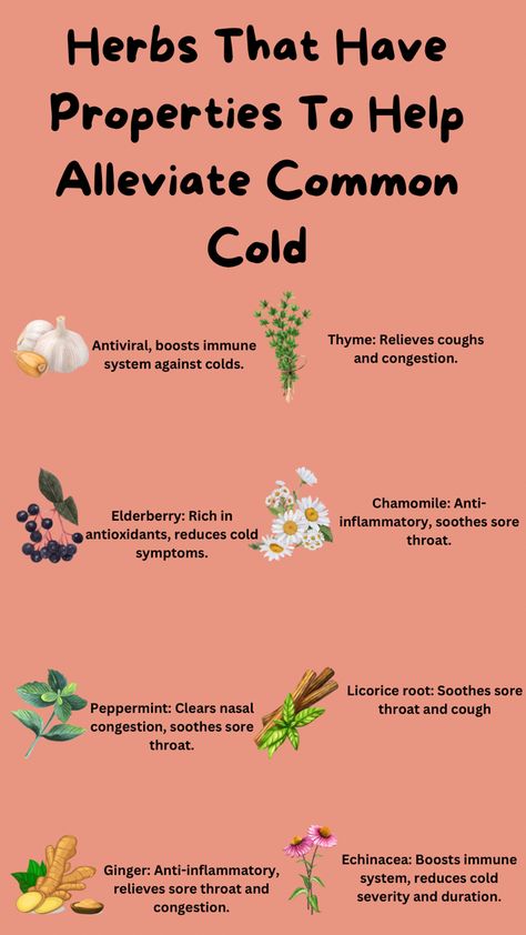 Discover the power of nature’s cold-fighting herbs! From immune-boosting echinacea to soothing ginger and peppermint, these herbs can help alleviate cold symptoms and promote recovery. Harness the healing properties of elderberry, garlic, thyme, licorice root, and chamomile to ease congestion, soothe sore throats, and support overall wellness. #ColdRelief #NaturalRemedies #herbalmedicine #garlic #mint #camomile #ginger  #elderberry #thyme Remedies For Cold Sore, Herbs For Throat, Thyme Properties, Natural Remedies For Cold, Sooth Sore Throat, Cold Relief, Food Health Benefits, Cold Symptoms, Natural Cold Remedies