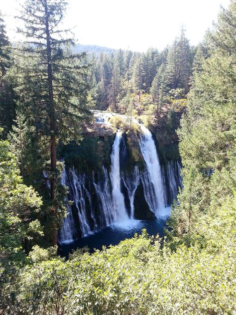 Burney Falls, State Park, Wordpress, Trees, Forest, California, Lake