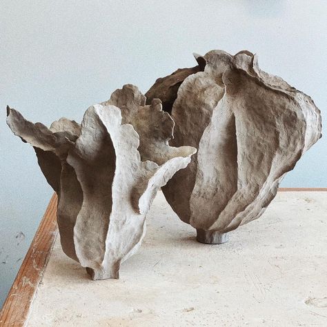 Jonathan Yamakami, Paperclay Projects, Clay Games, Ocean Pottery, Interior Tree, Ceramic Pinch Pots, Slab Ceramics, Contemporary Pottery, Organic Ceramics