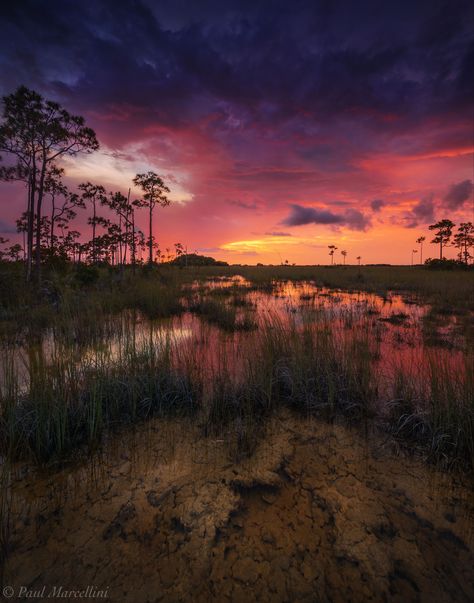 Color over the Flood Everglades National Park The Everglades, Everglades Florida, Everglades National Park, Cool Landscapes, Landscape Photographers, Key West, Beautiful World, Wonders Of The World, Places To See