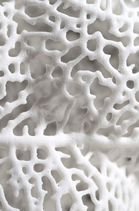 * White Sculpture, Foto Macro, 심플한 그림, Look Wallpaper, Texture Inspiration, Nature Artwork, Organic Forms, 3d Texture, White Coral