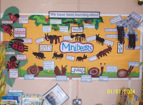 Minibeasts Classroom Display Photo - SparkleBox Minibeast Classroom Display, Minibeast Art, Minibeast Display, Nursery Display Boards, Minibeasts Eyfs, Minibeasts Activities, Science Display, Eyfs Classroom, Class Displays