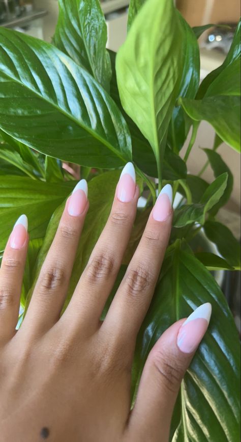 Nail ideas for summer 2022 Nail Ideas 2022, Nail Ideas For Summer, Summer Nail, Summer 2022, Summer Nails, Nail Inspo, Nail Ideas, Nails