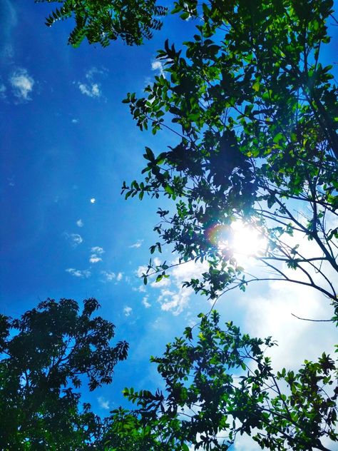 Bluish. Greenery. Sunny Day. Photo taken by @_piyali_piu_ 3 Pm Aesthetic, Midday Aesthetic Wallpaper, 3pm Aesthetic, Sunny Day Instagram Story, Sunny Aesthetic Sky, Sunny Sky Photography, Tasha Aesthetic, Bright Sunny Day Aesthetic, Noon Sky Aesthetic