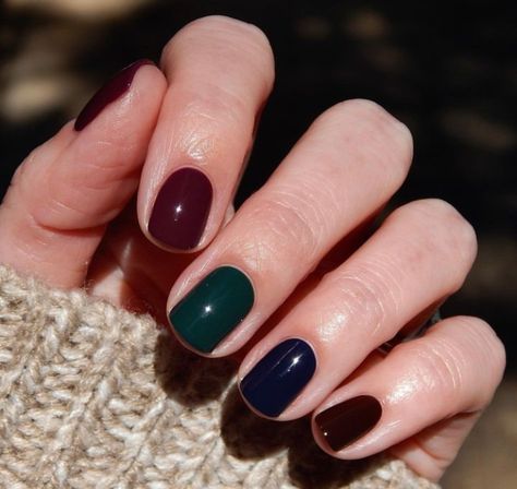 Sally Hansen The Queens Velvet, Nail Polish Sally Hansen, Sally Hansen Pure Nail Polish, Sally Hansen Special Effects Top Coat, Sally Hansen Nail Polish Insta Dry, Blueberry Tart, Autumn Nails, Sally Hansen, Jewel Tones