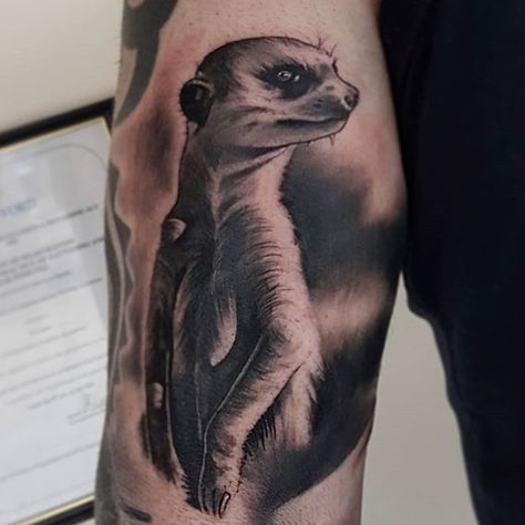 Mongoose Tattoo, Designer Tattoo Ideas, Designer Tattoo, Tattoo Meaning, Designs Ideas, Tattoos With Meaning, I Hope, Tattoo Designs, Tattoo Ideas