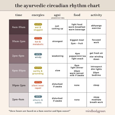 Ayurvedic Schedule, Ayurveda Remedies, Ayurveda Vata, Ayurveda Diet, Ayurveda Recipes, Tea Remedies, Ayurvedic Diet, Ayurvedic Skin Care, Sleep Exercise