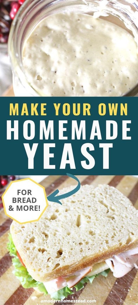 How to make your own yeast at home is easy! With this simple sourdough starter recipe, you can make your own bread, rolls, and more baked goods without store-bought yeast! Can be made with einkorn or any wheat. Sourdough Without Starter, Breadman Recipes, No Yeast Recipes, Einkorn Sourdough Starter, Einkorn Sourdough Bread, Einkorn Sourdough, Make Your Own Bread, Homemade Yeast, Fermented Bread