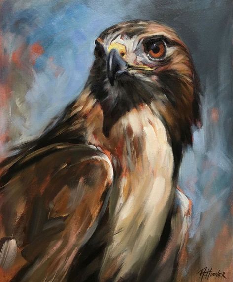 Aimée Rolin Hoover Contemporary Wildlife Art, Animal Paintings Acrylic, Extreme Close Up, Red Tailed Hawk, Wildlife Paintings, Wildlife Artists, Acrylic Artwork, A Level Art, Art Painting Acrylic